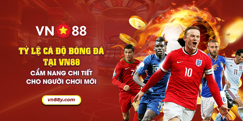 18 ty le ca do bong da tai vn88 cam nang chi tiet cho nguoi choi moi