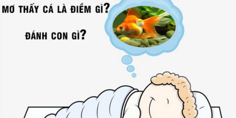 Cách đánh lô đề khi nằm mơ thấy cá tại VN88: Bí quyết thành công 3 Một số bí quyết giúp bạn đánh lô đề dựa trên giấc mơ thấy cá tại VN88