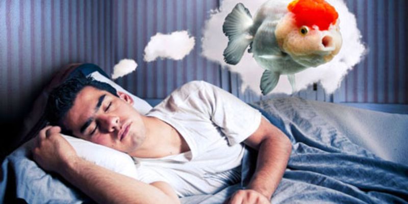 Cách đánh lô đề khi nằm mơ thấy cá tại VN88: Bí quyết thành công 2 Một số ý nghĩa phổ biến của giấc mơ thấy cá